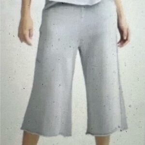 Frank & Eileen M Dove Gray Gaucho Wide Leg Pant French Terry Sweatpant Tee Lab